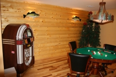 Basement Finishing and Remodeling